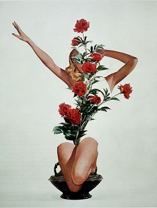 Shoka arrangement series No 1. Original Collage Art
