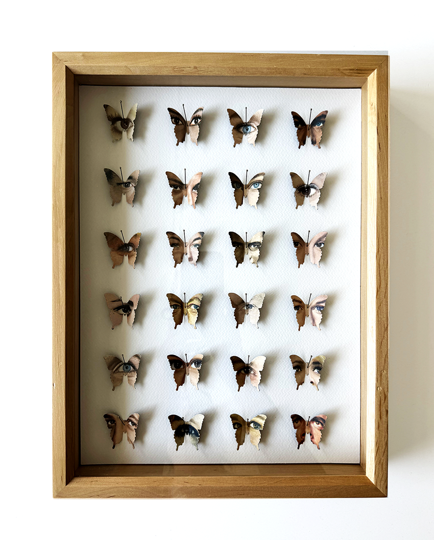 Butterfleye Collection no 7.
