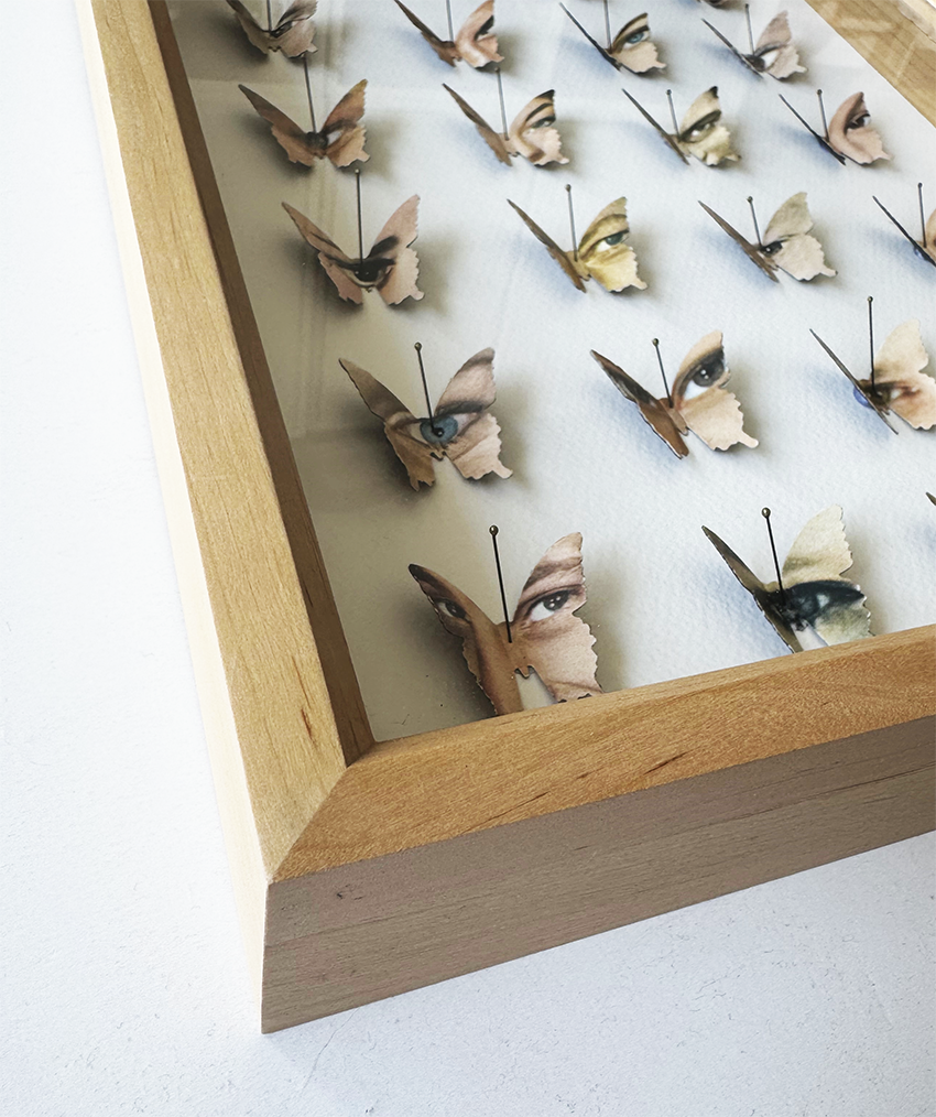 Butterfleye Collection no 7.