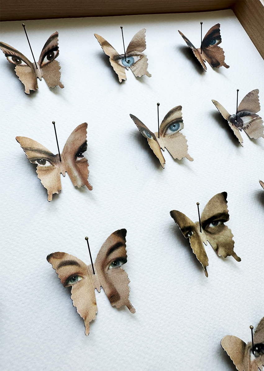 Butterfleye Collection no 7.