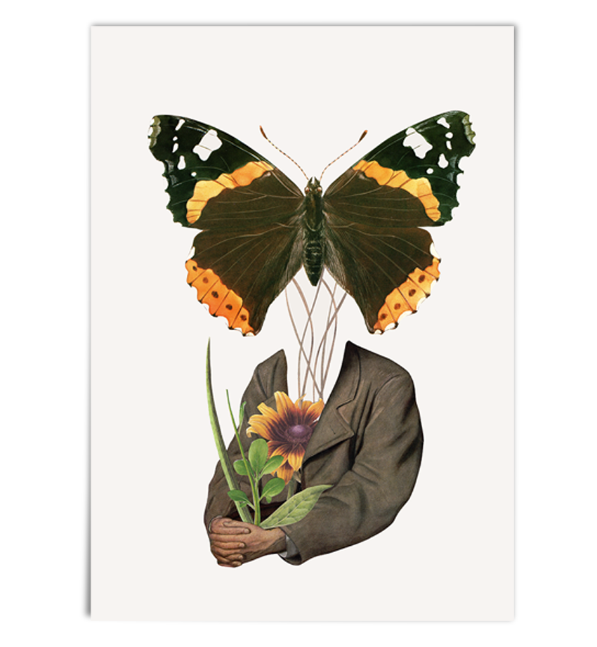 The Metamorphosis of Mr. Bloom. Limited Edition Print