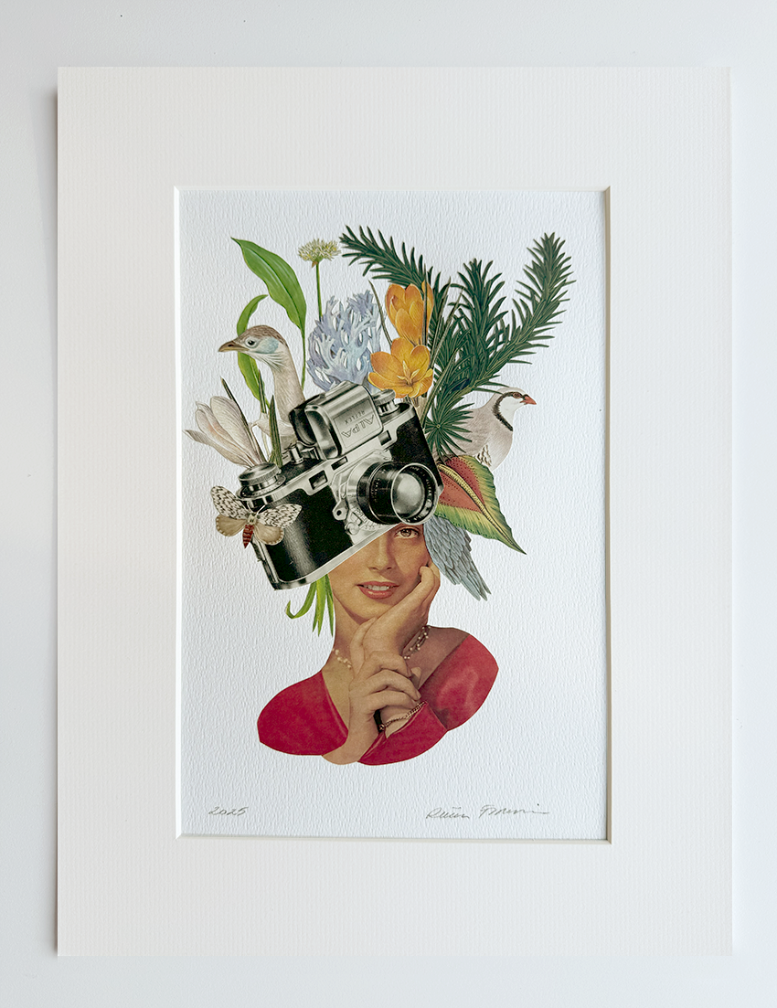 Nature Photographer. Original Collage Art