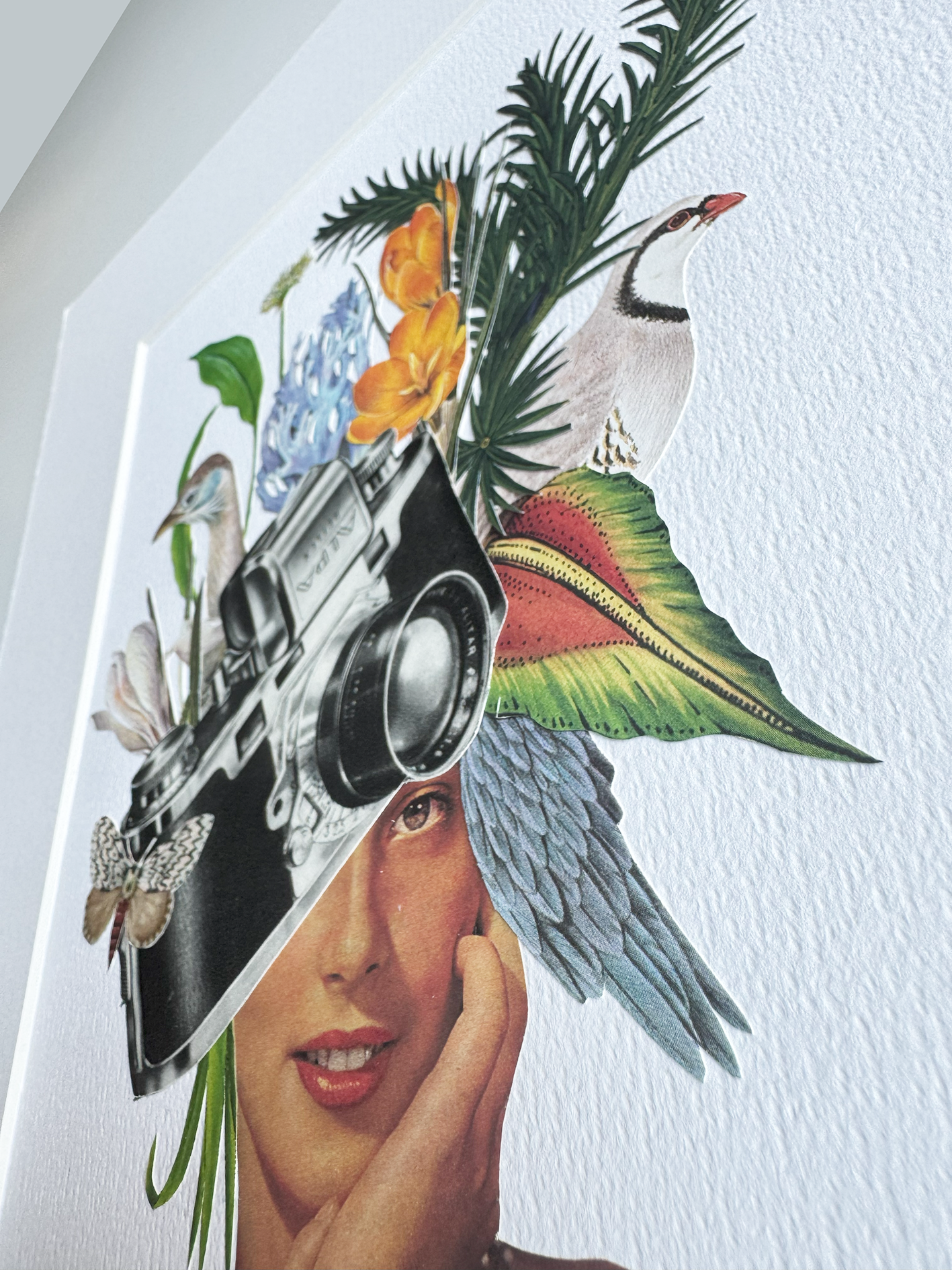 Nature Photographer. Original Collage Art