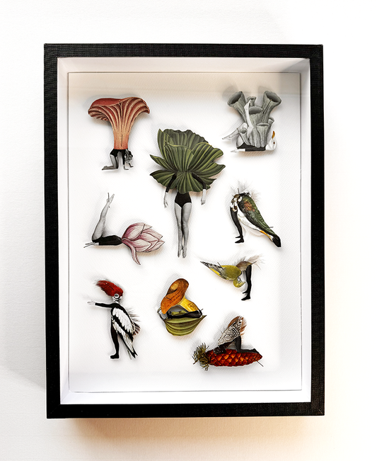Human Bug Collection no 8, Original collage art