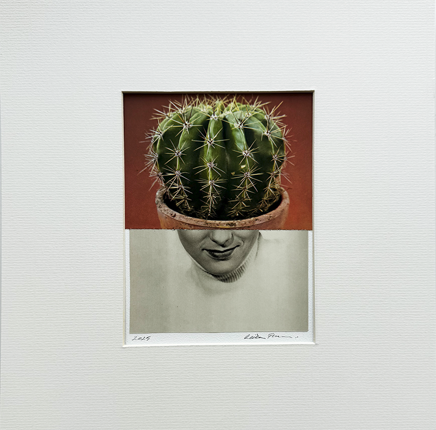Sharp Ideas. Original Collage Art