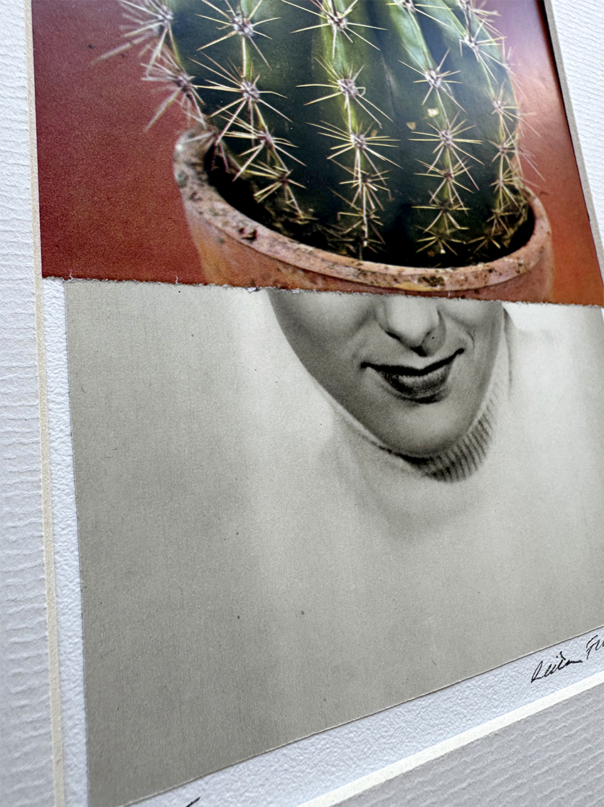 Sharp Ideas. Original Collage Art