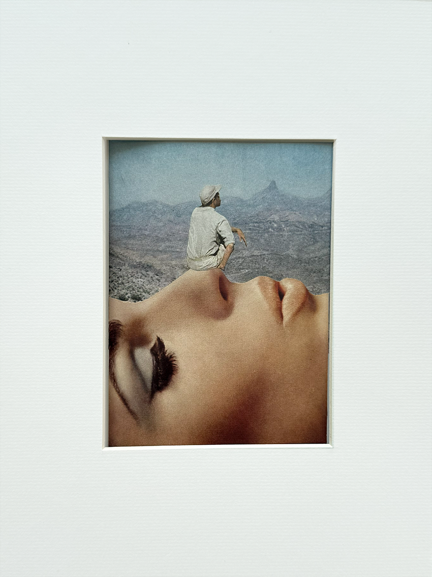 The Sniffing Point. Original Collage Art