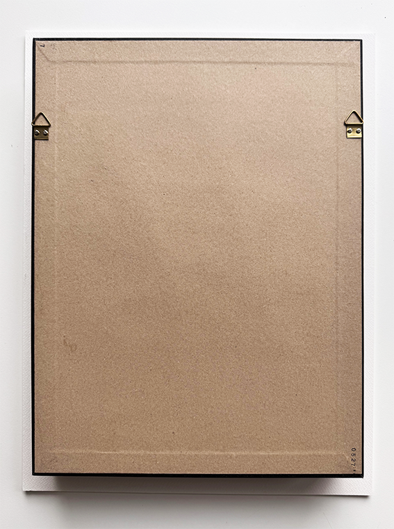 Human Bug Collection no 8, Original collage art