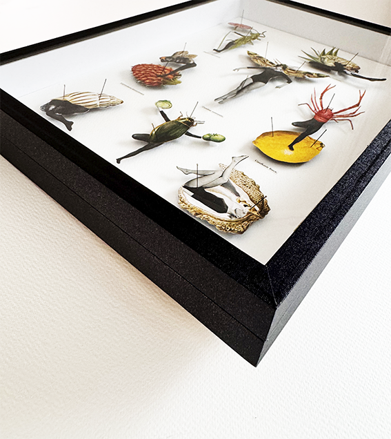 Human Bug Collection no 6, Original collage art