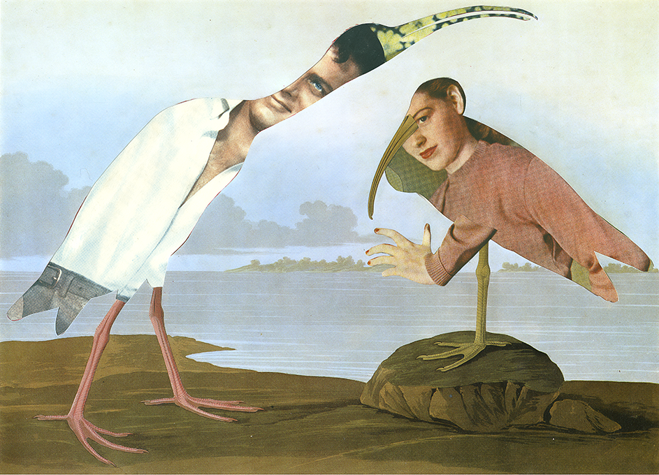 Human Birds series No 4. Limited Edition Print