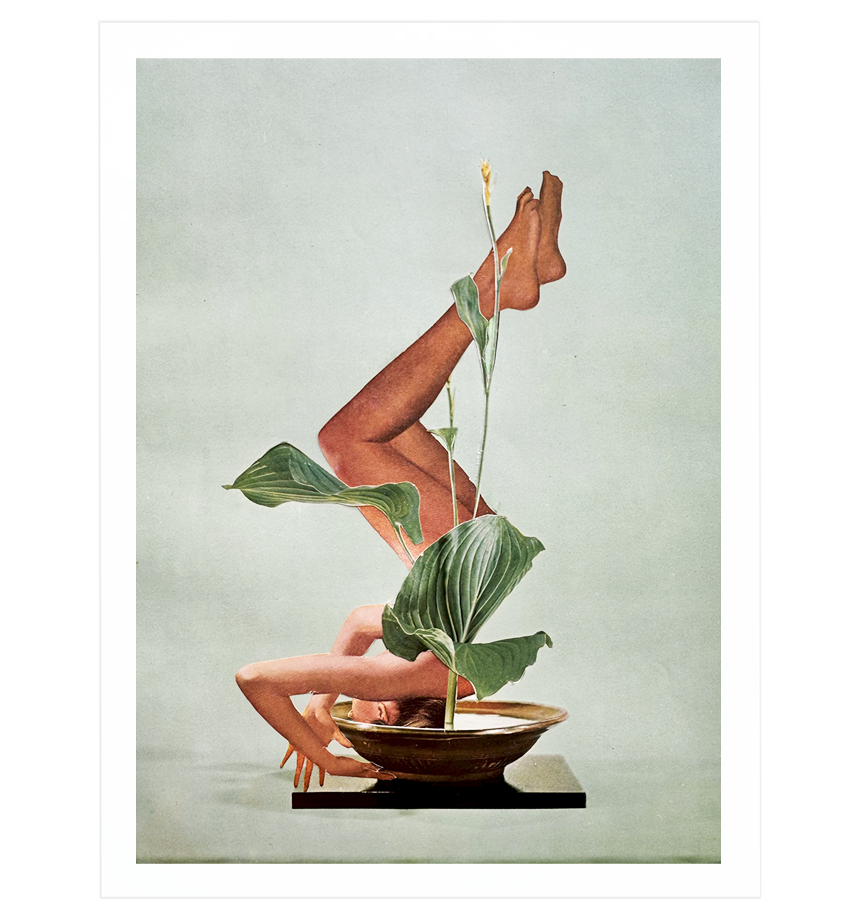 Shoka arrangement series No 2. Original Collage Art