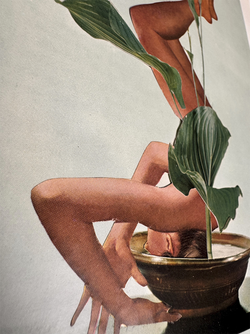 Shoka arrangement series No 2. Original Collage Art