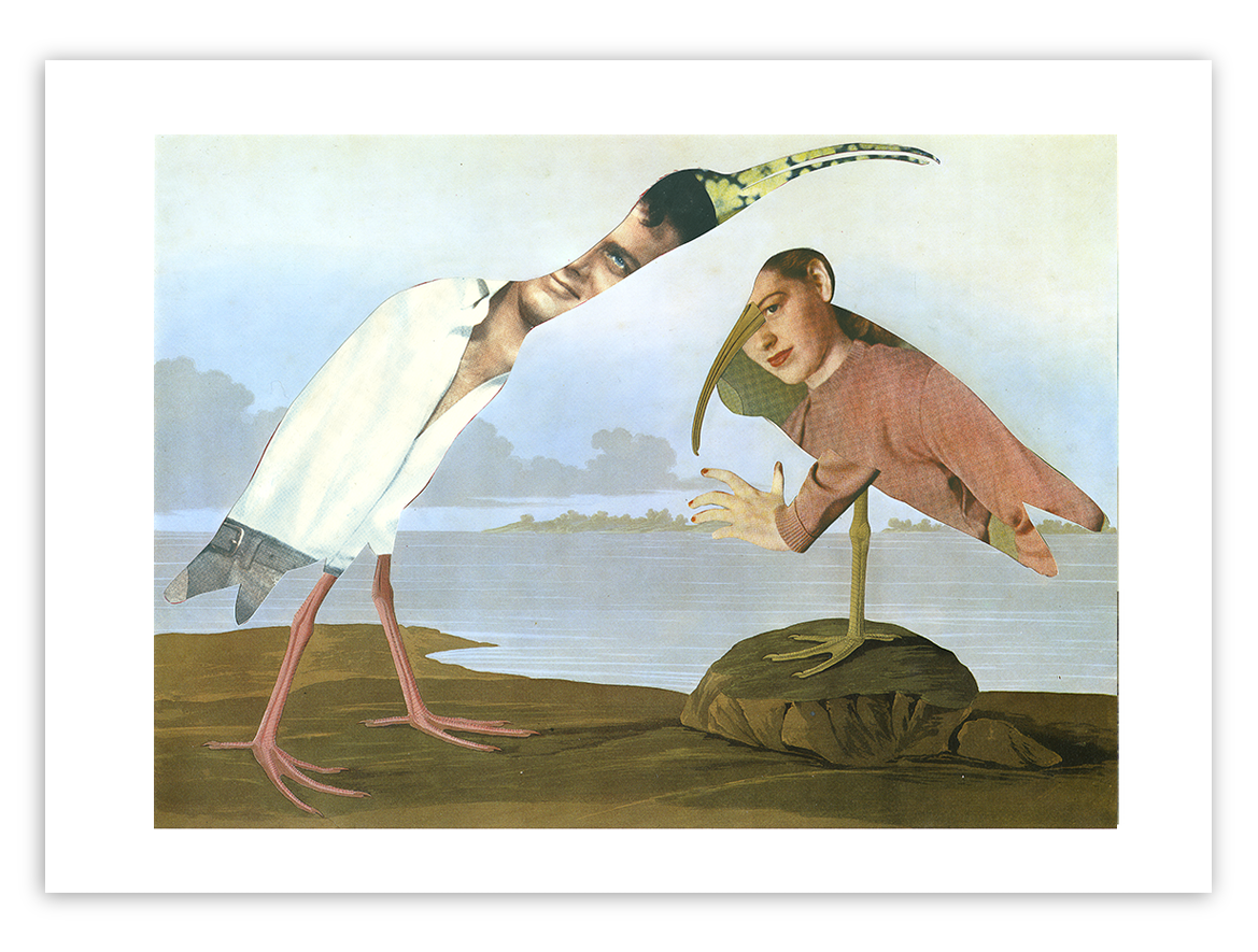 Human Birds series No 4. Limited Edition Print