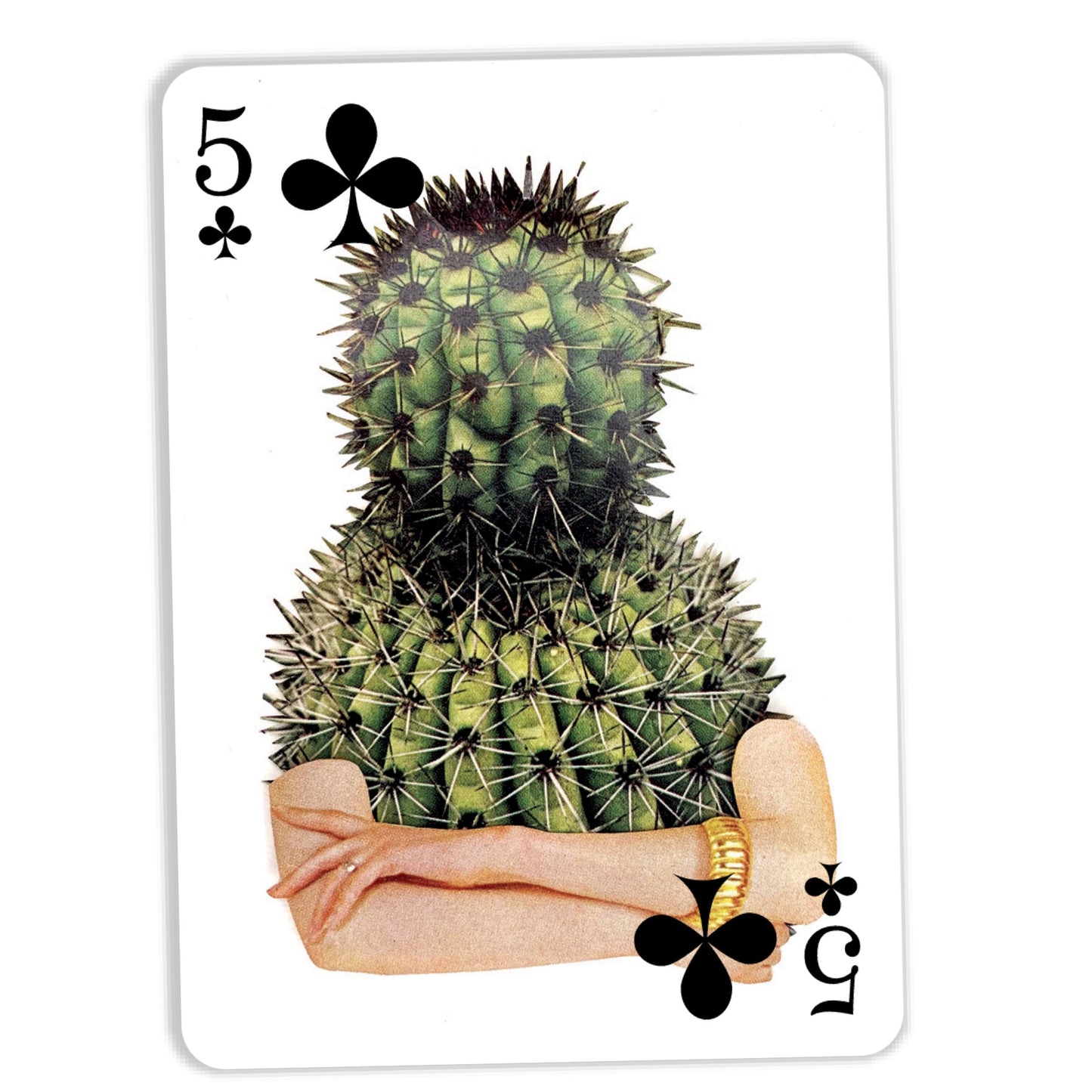 Artist Playing Cards