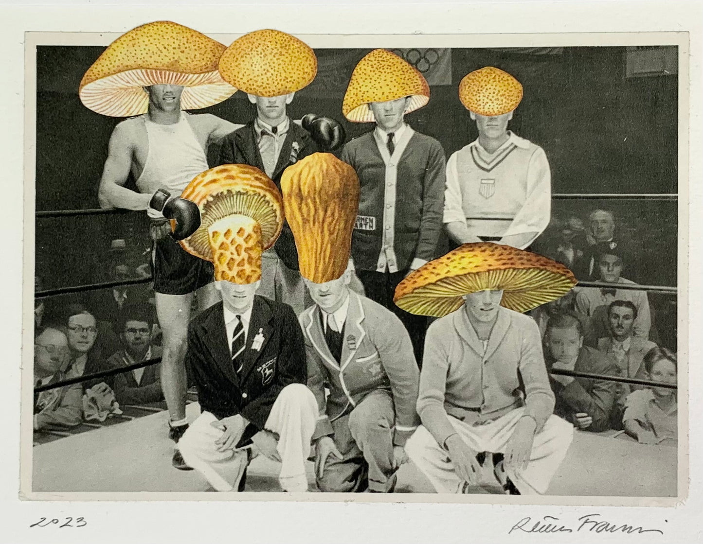 Mushroom Boxing Team