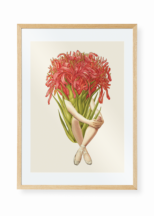 The Botanical series no 1,  Limited Edition Print