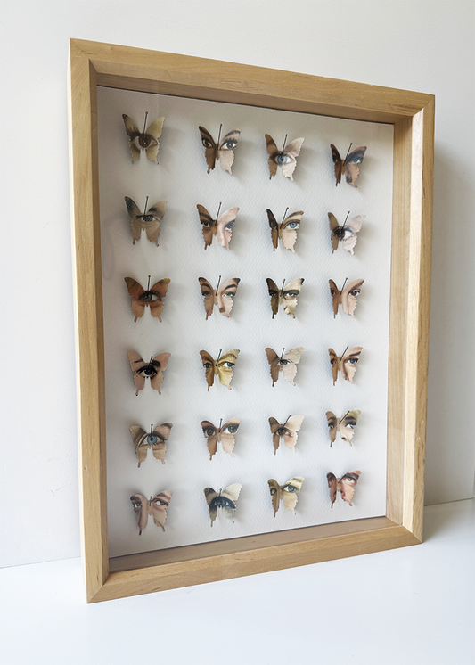 Butterfleye Collection no 7.