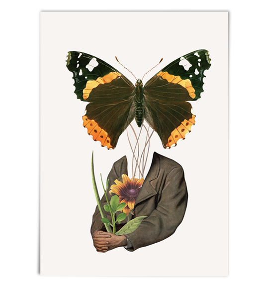 The Metamorphosis of Mr. Bloom. Limited Edition Print