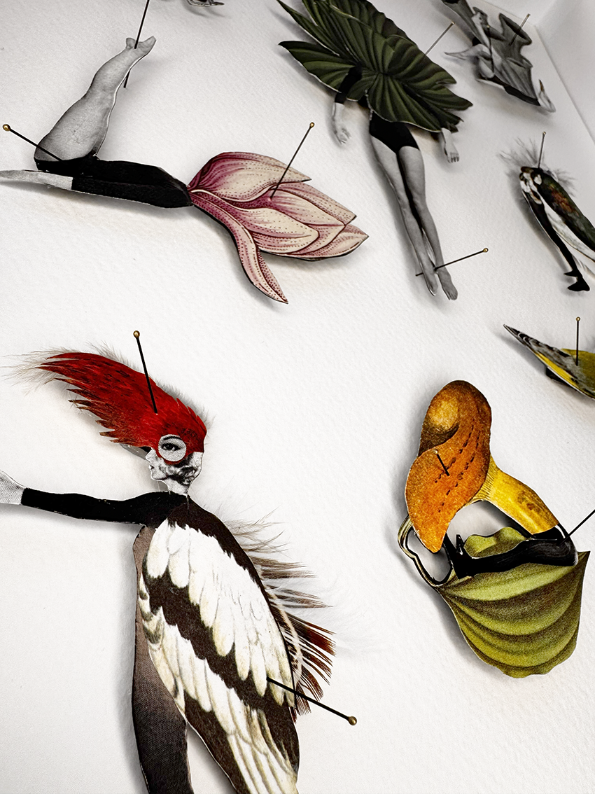 Human Bug Collection no 8, Original collage art