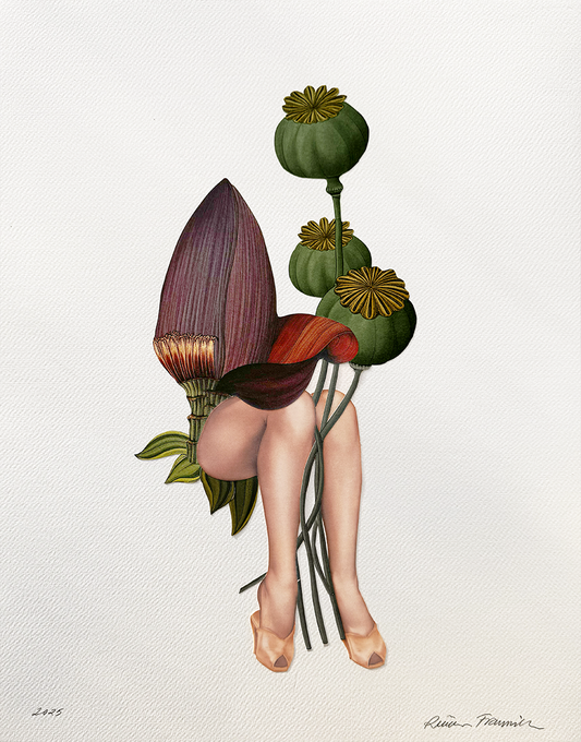 Blooming Grace. Original Collage Art.