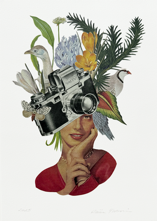 Nature Photographer. Original Collage Art
