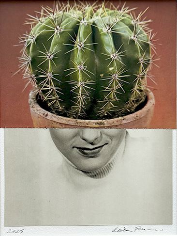 Sharp Ideas. Original Collage Art