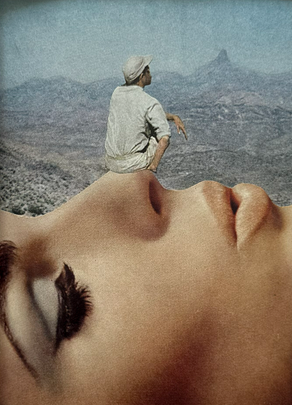 The Sniffing Point. Original Collage Art