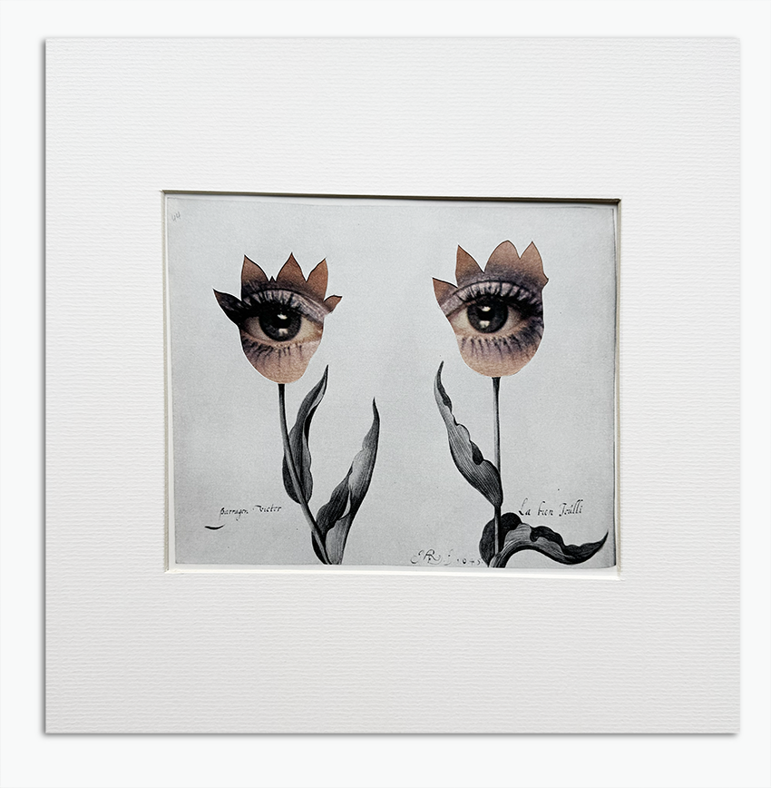 Human Nature No3. - Original Collage Art