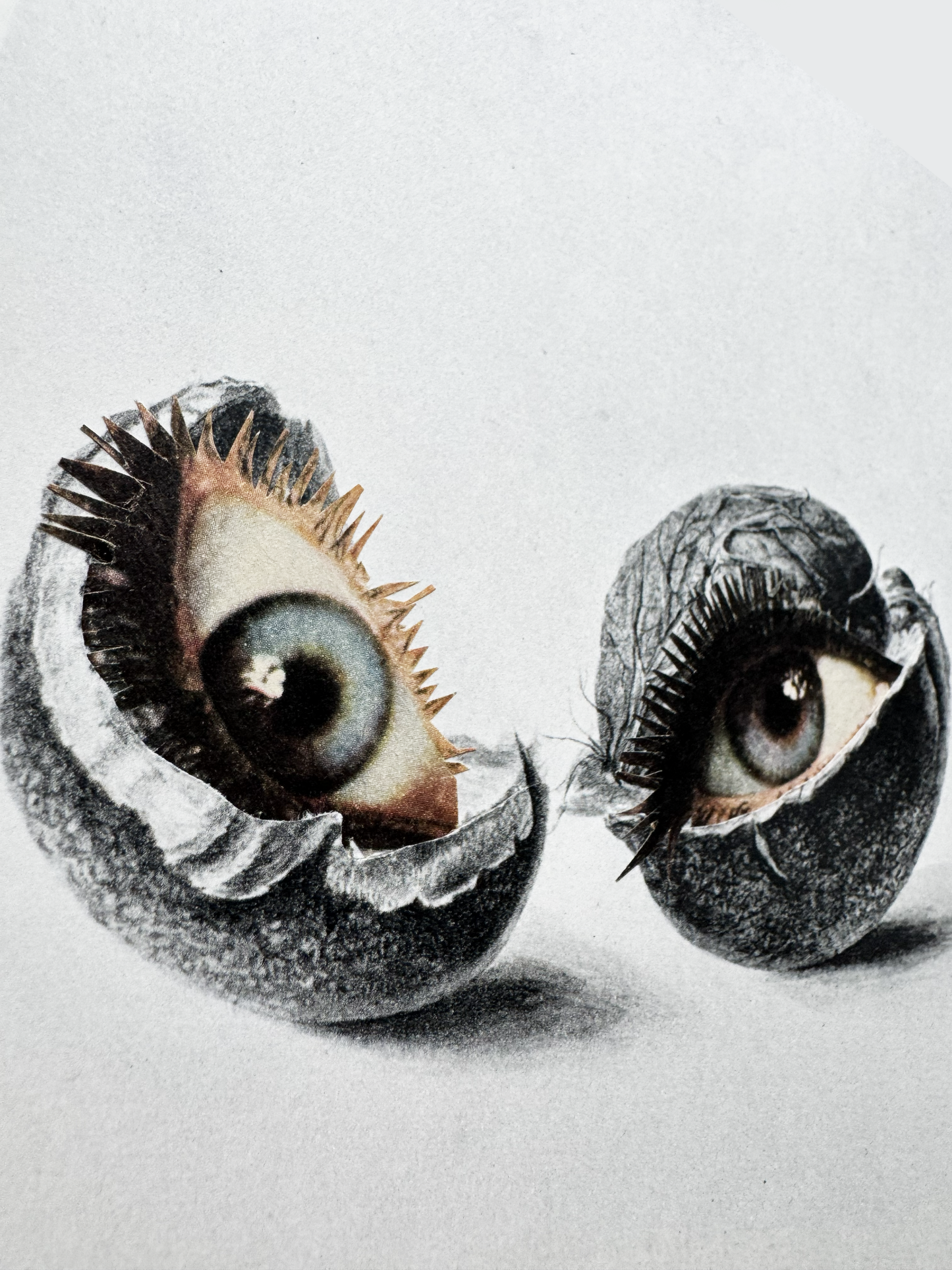 Human Nature No2. - Original Collage Art