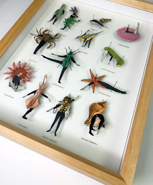 Human Bug Collection no 3, Original collage art