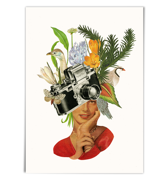Nature Photographer. Limited Edition Print