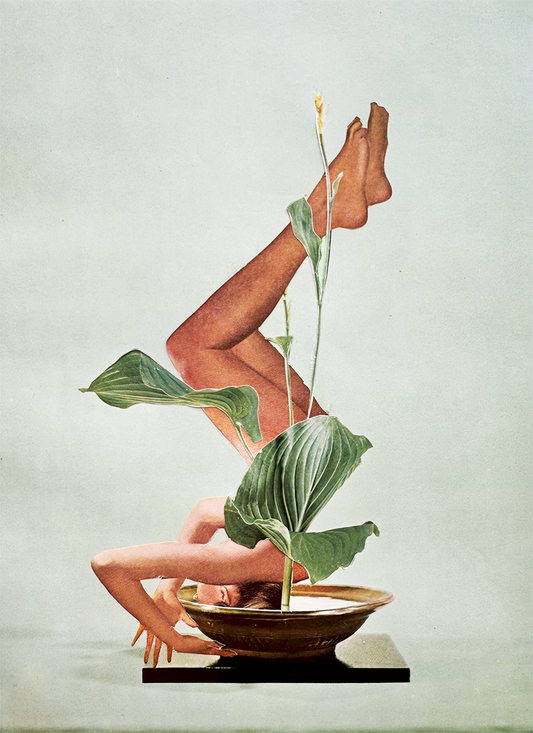 Shoka arrangement series No 2. Original Collage Art