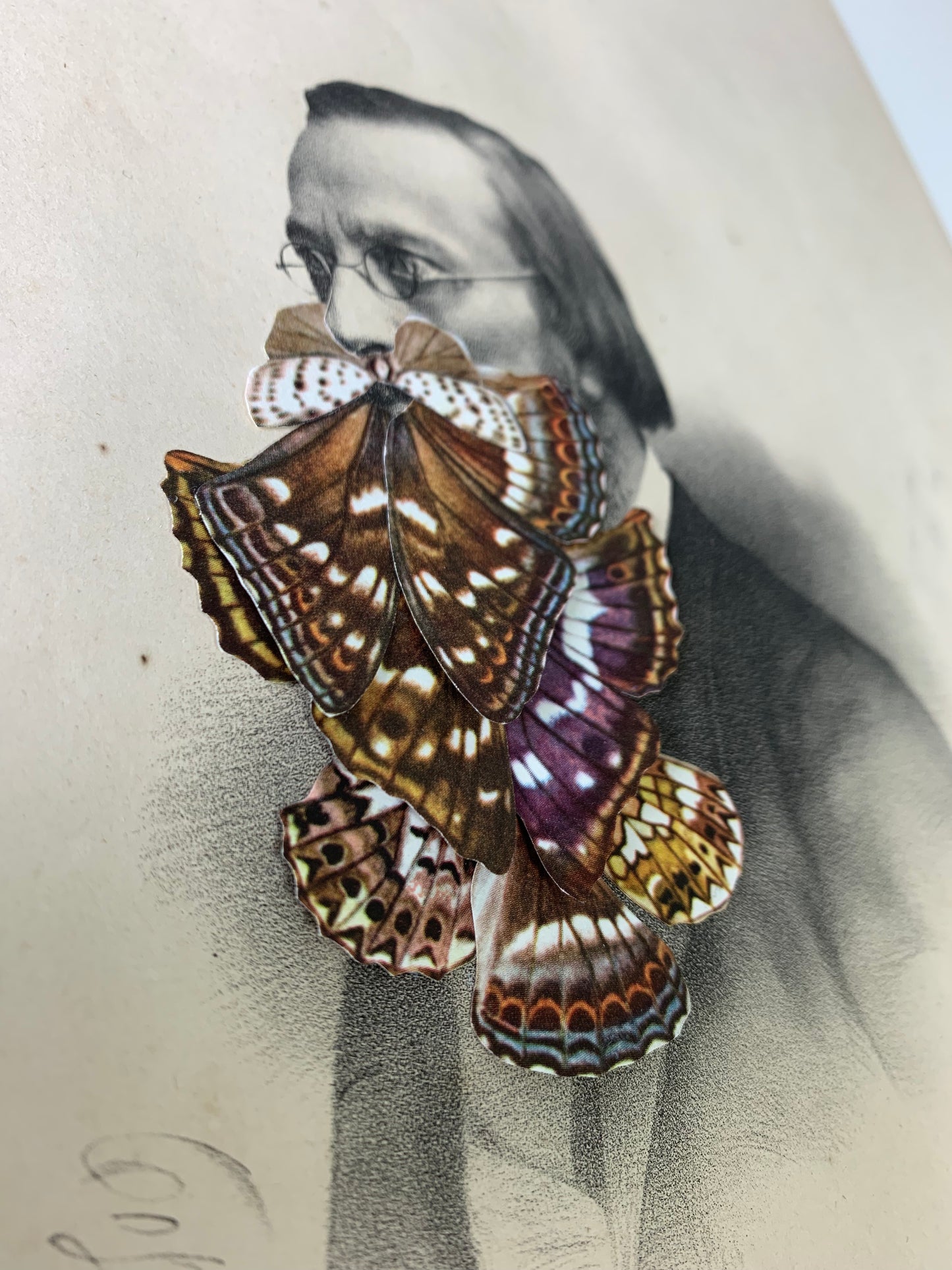 Butterfly Spirit, Original Collage