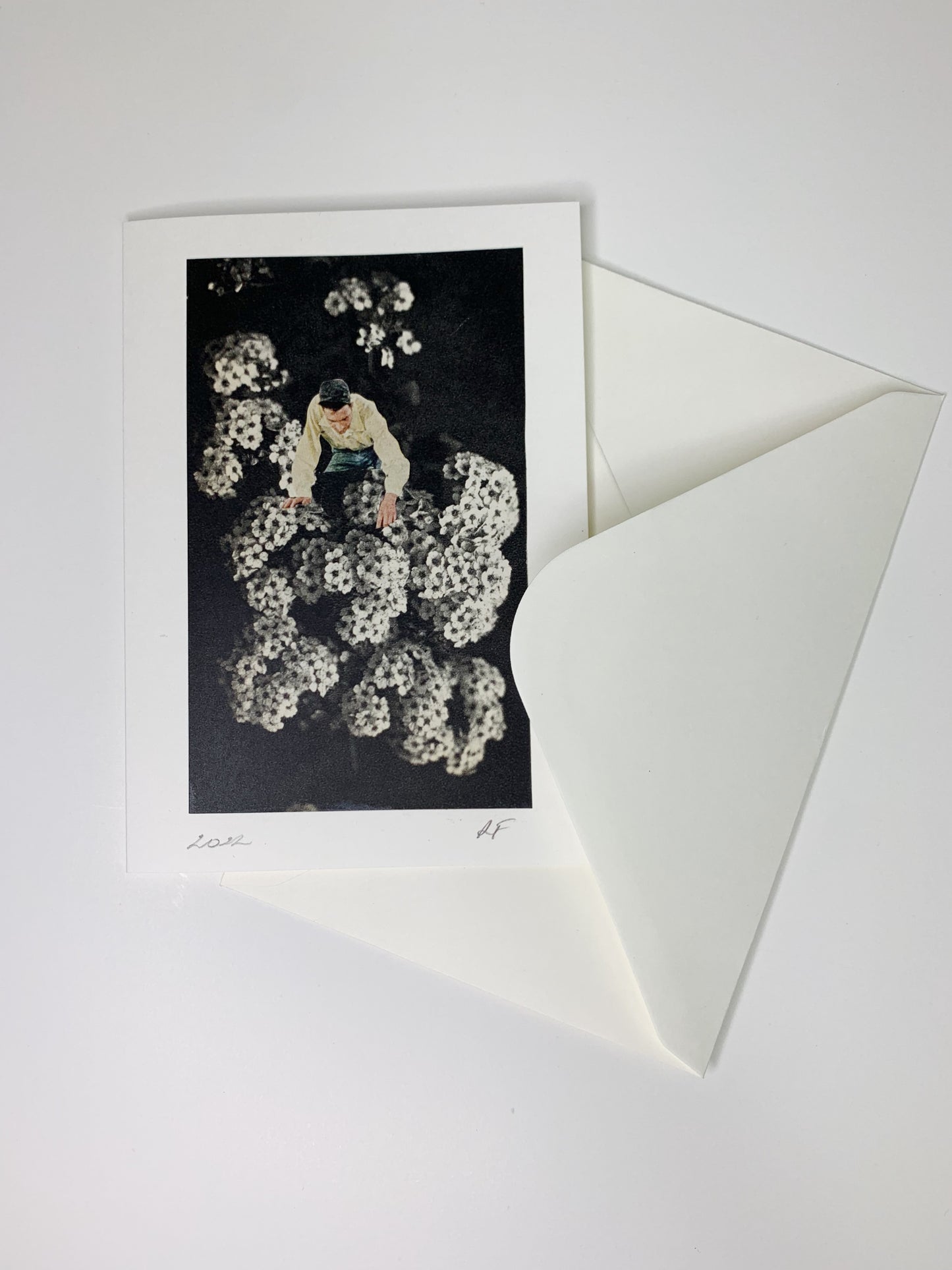 Flower Inspector, Original Collage Card